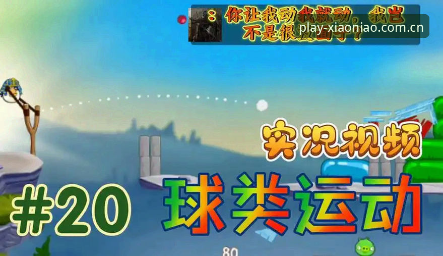 小鸟体育电脑版使用指南 小鸟体育电脑版使用指南全面解析:从安装到高效应用的深度分析